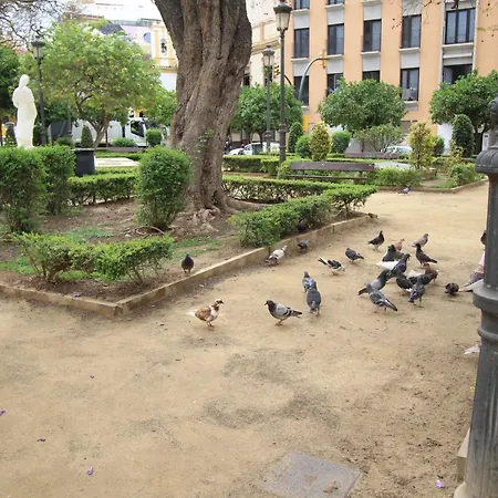 Apartment Del Parque Flats Monkey 1